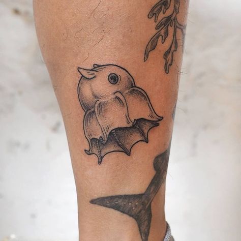 cutest lil dumbo octopus (opisthoteuthis agassizii to be precise) for @finallydinaly alongside a healed whale shark and leafy seadragon! .… Dumbo Octopus Tattoo, Whale Shark Tattoo, Squid Tattoo, Dumbo Octopus, Neo Tattoo, Shark Tattoos, Octopus Tattoo, Graphic Art Prints, Knee Tattoo