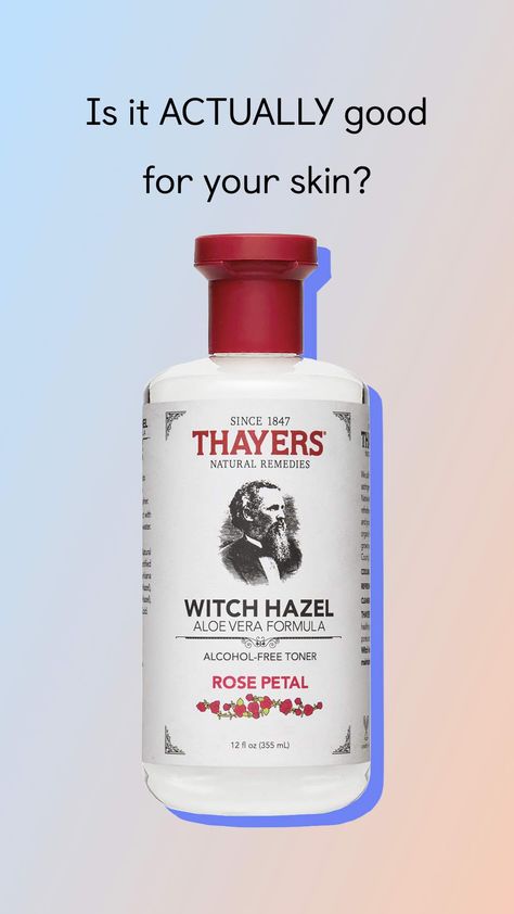 There are many skin benefits of witch hazel, but it’s not for everyone. Here, we detail the skin types and concerns the ingredient is best suited for. Benefits Of Witch Hazel On Face, What Is Witch Hazel Good For, Witch Hazel Uses Skin Care Facial Toner, Witch Hazel Skin Benefits, Witchhazel Skincare Diy, Witch Hazel Uses Skin Care Benefits, Witch Hazel Uses Skin Care, Witch Hazel For Acne, Uses For Witch Hazel