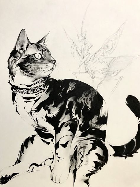 캐릭터 드로잉, Dessin Adorable, 영감을 주는 캐릭터, Cat Tattoo, Art Block, Cat Drawing, Art Reference Photos, Animal Illustration, Ink Art