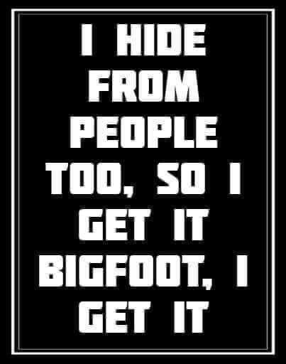 Bigfoot Pictures, Bigfoot Gifts, Finding Bigfoot, Bigfoot Humor, Bigfoot Sasquatch, Yoga Shop, Sarcastic Quotes, Funny Signs, Bones Funny