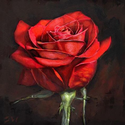 Daily Paintworks - "Red Rose" - Original Fine Art for Sale - © Stephen Walsh Rose Art Painting, Red Rose Drawing, Rose Painting Acrylic, Sketch Rose, Rose Line Art, Life Study, Rose Sketch, Painting The Roses Red, Rose Oil Painting