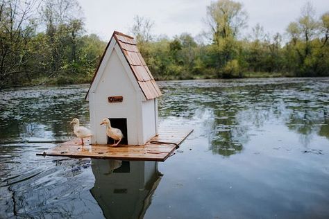 Goose House, Old World Home, Backyard Ducks, Duck Coop, Duck House, Duck Pond, Mini Farm, Backyard Farming, Design Mom