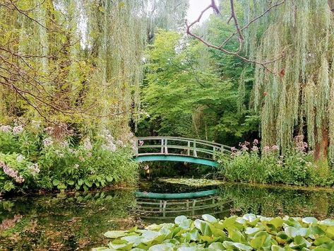 💌 on Twitter: "monet's garden.… " Monet Bridge Painting, Monet Bridge, Monet Garden Giverny, Monet Garden, Closet Art, Monet's Garden, Bridge Painting, Claude Monet Art, Watercolour Landscape