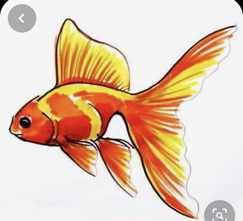 Fish Drawing For Kids, Goldfish Drawing, Drawing Art Ideas, Gold Fish Painting, Fish Sketch, Sea Drawing, Drawn Fish, Drawing Course, Fish Drawings