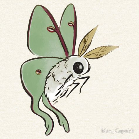 Fuzzy Cute Luna Moth Fuzzy Moth Drawing, How To Draw Moths, Fuzzy Moth Tattoo, Cute Moth Art, Cute Moth Tattoo, Moth Cartoon, Cute Bug Drawing, Moth Doodle, Luna Moth Drawing