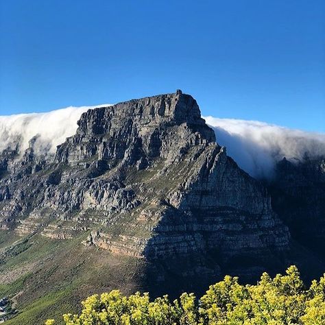 236 Likes, 2 Comments - KaapstadMagazine.nl (@kaapstadmag) on Instagram: “"Prachtige dag met een strak blauwe lucht!" featured artist @karoobiking…” Table Mountain South Africa, Africa Do Sul, Table Mountain, Cape Town South Africa, Western Cape, African History, Southern Africa, Featured Artist, Cape Town