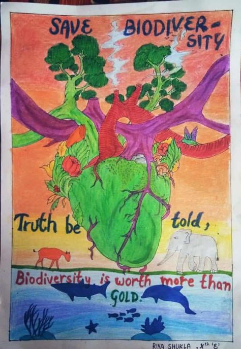 Save Biodiversity Poster, Poster On Biodiversity, Biodiversity Poster, Homework Help, Real Life