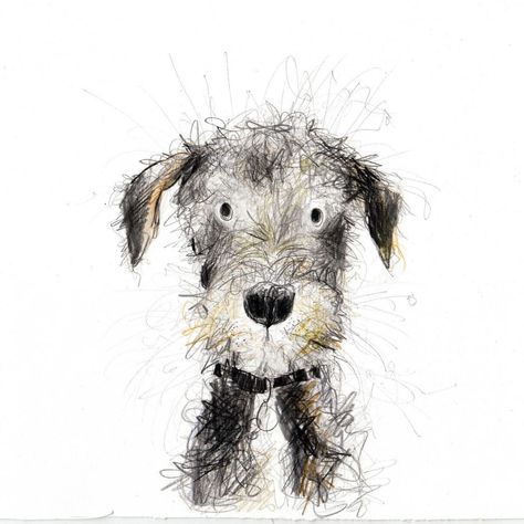 Catherine Rayner, Scruffy Dogs, Shading Drawing, Watercolor Dog Portrait, Sketches Of Love, Animal Illustration Art, Cardboard Art, Different Dogs, Watercolor Dog