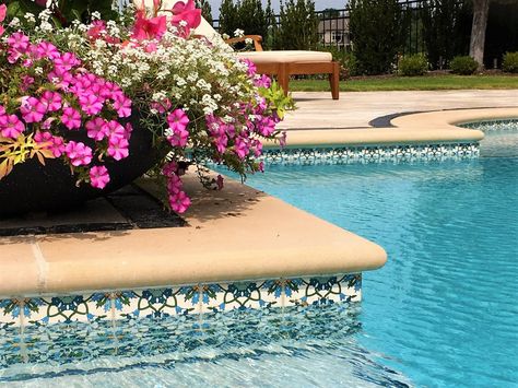 Swimming Pool Designs & Waterline Pool Liners - Balian Tile Studio Swimming Pool Border Ideas, Beautiful Pool Tile, Moroccan Pool Tile, Pool Flooring Ideas, Coping Corner, Pool Border, Swimming Pool Ceramic, Decorative Pool Tiles, Painted Pool