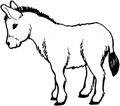 See More Donkey Coloring Page Goat Coloring Pages, Donkey Drawing, Goat Picture, Shape Coloring Pages, Farm Animal Coloring Pages, Cute Goats, Printable Pictures, A Goat, Coloring Pages To Print