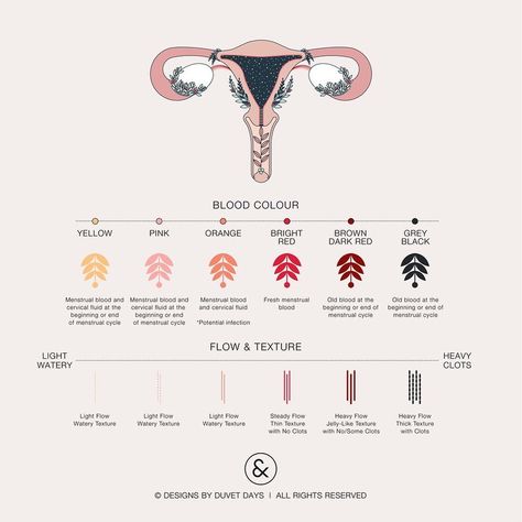 2,750 Likes, 40 Comments - Duvet Days (@duvet_days) on Instagram: “When I was first educated on my menstrual cycle I was never taught the specifics or that you can…” Duvet Day, Fertility Health, Old Blood, Estrogen Dominance, Vital Signs, Female Anatomy, Pregnancy Tips, Facial Skin, Be Afraid