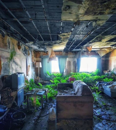 Post Apocalyptic Room, Post Apocalyptic City, Walls Could Talk, A Room With A View, Apocalypse Aesthetic, Post Apocalyptic Art, Future Room, Tumblr Rooms, Room With A View