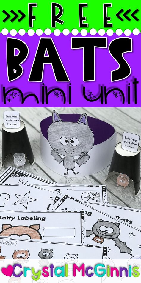 Bat Art Kindergarten, All About Bats First Grade, Bats Anchor Chart Kindergarten, Bat Anchor Chart Kindergarten, Halloween Themed Centers Kindergarten, Bats Can Have Are Chart, Stellaluna Craft Kindergarten, Toddler Bat Activities, Free Nocturnal Animals Preschool