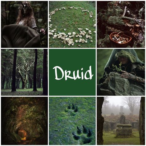 Wood Elf Druid Aesthetic, Druid Aesthetic Clothing Dnd, Circle Of Stars Druid Starry Form, Druids Aesthetic, Druid Dnd Aesthetic, D&d Druid, Druid Aesthetic Dnd, Druid Aesthetic, Green Witch Aesthetic