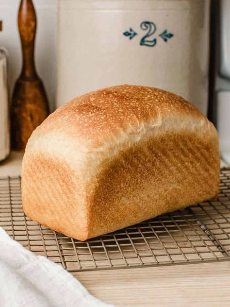 This soft sourdough sandwich bread is made with all-purpose flour, olive oil, honey, and sourdough starter in a stand mixer. It has a light fluffy texture with a tight crumb perfect for sandwiches and toast. Little Spoon Farm Sandwich Bread, Fluffy Sourdough Sandwich Bread, Sourdough Bread With Stand Mixer, Soft Sandwich Bread Recipe, Soft Sourdough Sandwich Bread, Soft Sourdough Bread, Sourdough Sandwich Bread Recipe, Bread Spreads, Homemade Pesto Recipe