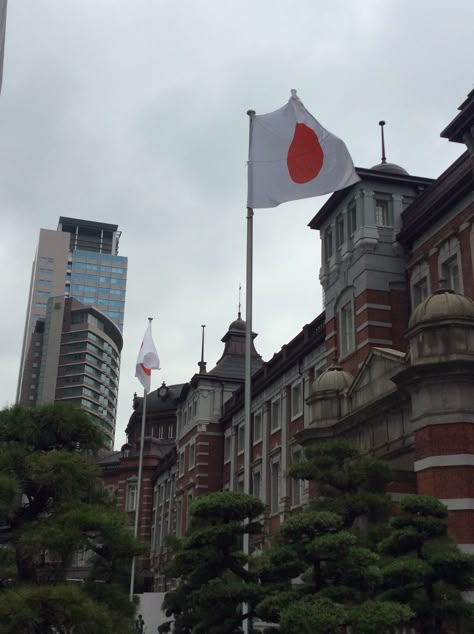 Japanese Flag Aesthetic, Japan Flag Aesthetic, Tokyo Flag, Flag Of Japan, Animals Name In English, Gap Year Travel, Japanese Flag, Japan Flag, City Flags