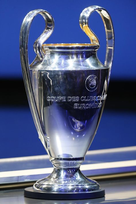 The UEFA Champions League trophy Uefa Champions League Trophy, Chelsea Fc Stamford Bridge, Old Trophies, Champions League Trophy, Sports Trophies, Football Trophies, Afc Ajax, Soccer Goalie, Fc Porto