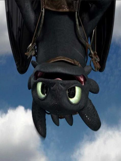 Toothless Wallpaper, Cute Toothless, Httyd Toothless, Dragon Movies, Toothless Dragon, Got Dragons, Girls Sister, Dragon Trainer, Night Fury