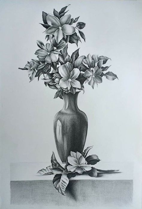 Easy Still Life Drawing, Realistic Flower Drawing, Practicing Drawing, Steel Life, Still Life Sketch, Landscape Pencil Drawings, Still Art, Pencil Drawings Of Flowers, Life Sketch