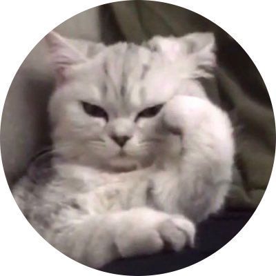 Minimalist beauty: the ultimate guide to a timeless, effortless look. Learn how to achieve a polished, natural appearance with simple, everyday #Cute_Cats_For_Profile #Cute_Funny_Cat_Pics_For_Dp #Funny_Cat_Dp_For_Whatsapp #Aesthetics_Dp_For_Instagram Cute Funny Cat Pics For Dp, Funny Cat Dp For Whatsapp, Cat Dp Aesthetic, Cat Dp For Whatsapp, Cool Dp For Instagram, Unique Dp For Instagram, Aesthetic Dp For Insta, Cat Dps, Cute Cat Dp