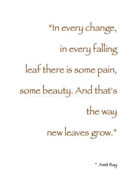 Yin Quotes, Fall Poems, Autumn Yoga, Lightworker Quotes, Leaf Quotes, Autumn Quote, Autumn Poems, Falling Leaf, Fall Quote