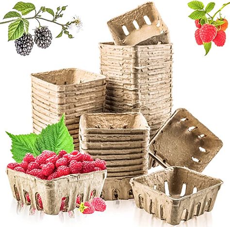 Storing Blueberries, Small Farmers Market, Farmers Market Produce, Produce Basket, Strawberries In Containers, Strawberry Basket, Produce Baskets, Paper Baskets, Berry Basket