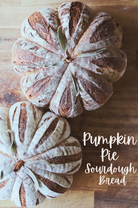 How to make Pumpkin Pie Sourdough Artisan Bread - Lemons and Lavender Farm Pumpkin Pie Sourdough, Pumpkin Sourdough Bread, Sourdough Artisan Bread Recipe, Sourdough Artisan Bread, Pumpkin Sourdough, Artisan Bread Recipe, Artisan Sourdough Bread Recipe, Thanksgiving Bread, Pumpkin Pie Spice Mix