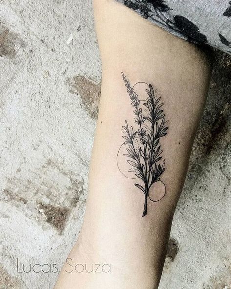 rosemary tattoo Rosemary Tattoo, Herb Tattoo, Botanisches Tattoo, Plant Tattoos, Fern Tattoo, Lavender Tattoo, Plant Tattoo, Friendship Tattoos, Botanical Tattoo