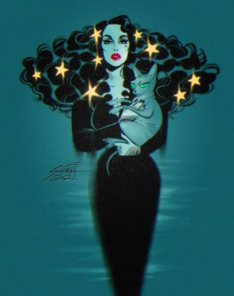 Sveta Shubina, Pop Art Images, Oh My Goddess, Pinup Art, Goth Art, Witch Art, Kat Von, Kat Von D, Cartoon Profile Pics