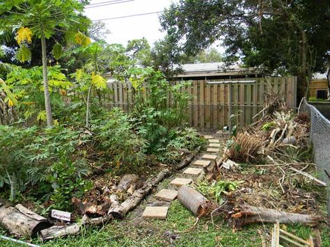 Florida Food Forest, Food Forest Design, Forest Project, Large Backyard Landscaping, Backyard Garden Diy, Florida Plants, Florida Food, Florida Gardening, Backyard Garden Landscape