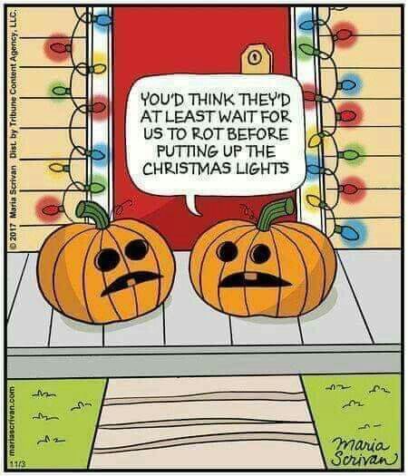 Xmas right after Halloween.... Halloween Thanksgiving Christmas Humor, Halloween To Christmas Funny, Day After Halloween Humor, Funny Memes. Hilarious Halloween, Day Light Savings Humor Fall Back, Dark Humorous, Halloween Meme, Funny Halloween Jokes, Fall Funny