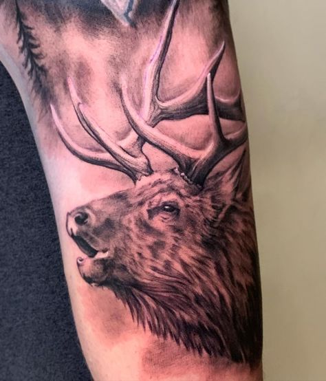 Elk Tattoo, elk tattoo ideas, geometric elk tattoo, simple elk tattoo, elk tattoo sleeve, traditional elk tattoo, red elk tattoo, elk tattoo drawing, celtic irish elk tattoo, nicholas gonzalez elk tattoo, bull elk tattoo, tribal elk tattoo, irish elk tattoo, dr melendez elk tattoo, abstract elk tattoo, black elk tattoo colorado springs, black elk tattoo sandpoint, neo traditional elk tattoo, bugling elk tattoo, forest elk tattoo, bull elk elk tattoo, celtic elk tattoo, elk tattoo forearm Bull Elk Tattoo, Traditional Elk Tattoo, Elk Tattoo Men, Geometric Elk Tattoo, Elk Skull Tattoo, Elk Antler Tattoo, Elk Tattoos, Tattoo Sleeve Traditional, Dr Melendez