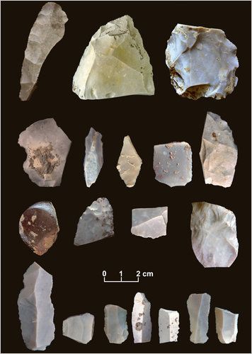 Spear Points Found in Texas Dial Back Arrival of Humans in America - New York Times. Researchers say the tools may be as old as 15,500 years, retiring a long-held hypothesis that the so-called Clovis people, who came from Asia 13,000 years ago, were the first to arrive. Learn more: http://www.nytimes.com/2011/03/25/science/25archeo.html?_r=0 Clovis People, Stone Age Tools, Paleo Indians, Native American Tools, Arrowheads Artifacts, Arrow Heads, Rocks And Fossils, Human Settlement, Indian Artifacts