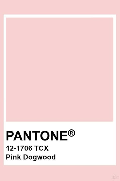 2019-2020 Spring Summer "Open Mind" Pink Dogwood Pale Pink Pantone, Libra Colors, Maternity Background, Pantone Rose, Pantone Tcx, Pantone Color Chart, Pantone Swatches, Pantone Palette, Modern Kitchen Design Ideas