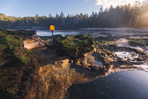 How to Visit BOTANICAL BEACH in Port Renfrew Port Renfrew, Purple Sea Urchin, Hiking Poles, Parks Canada, Olympic Peninsula, The Wild West, Tide Pools, Banff National Park, Vancouver Island