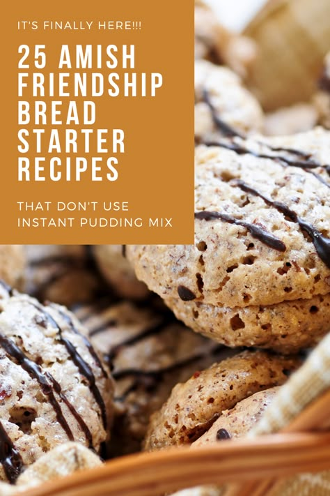 Amish Bread Starter Recipes, Amish Bread Starter, Amish Friendship Starter, Amish Friendship Bread Recipes, Amish Bread Recipes, Amish Friendship Bread Starter Recipes, Friendship Recipe, Baking Sourdough Bread, Friendship Bread Recipe