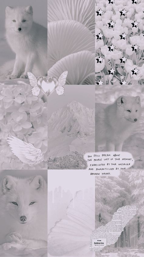 White arctic fox in collage of muted white photos with snow and forest scenes, white cohesive stickers Arctic Fox Aesthetic, Arctic Fox Wallpaper, White Fox Aesthetic, Fox Moodboard, Fox Wallpaper Aesthetic, Muted Aesthetic, Fox Background, Fox Aesthetic, Fox Wallpaper