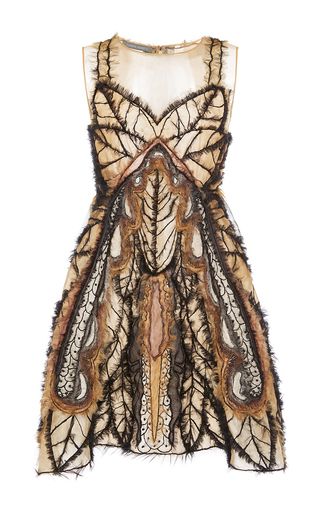 Monarch Butterfly Dress, Insect Dress, Butterfly Pattern Dress, Short A Line Dress, Sweetheart Neck Dresses, Butterfly Print Dress, Sweetheart Neckline Dress, Fringe Mini Dress, Salted Chocolate