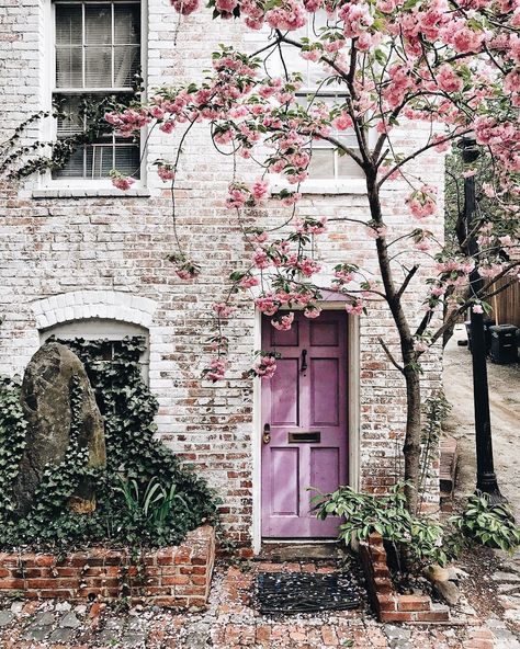 House With Pink Door, Entrances Architecture, Dark Brown House, Brownstone Homes, Rolls Royce Wallpaper, Have A Beautiful Sunday, Garden Vase, Window Architecture, Antique Brick