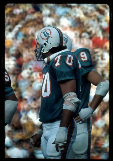 1972 Miami Dolphins, Nfl Football Pictures, Miami Dolphins Football, Baltimore Colts, Nfl Pictures, The Bleachers, Nfl Football Players, Dolphins Football, Football American