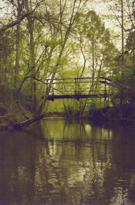 Haunted Bridge Lookout Mountain Etowah County Alabama Haunted Places In Alabama, Scary Appalachia, Haunted Places In Virginia, Haunted Mississippi, Strange Tales, Petra Jordan, Lookout Mountain, Town Names, Ap Studio Art