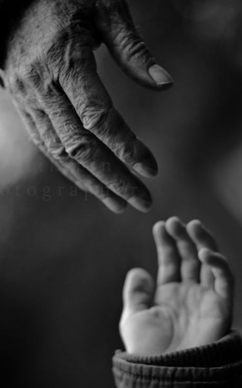 Hand Photography, Louise Bourgeois, Hand Reference, Ideas Photography, White Hands, Foto Art, Hold My Hand, Black N White Images, Simple Words