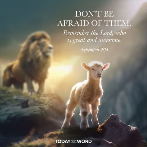 Devotional Bible, Lion Of Judah Jesus, Christian Cartoons, Daily Moments, Jesus Artwork, Lion And Lamb, Jesus Heals, Bible Quotes Images, Good Morning God Quotes