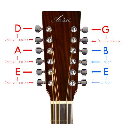 How to tune a 12 string guitar Acoustic Guitar Chords, 12 String Acoustic Guitar, 12 String Guitar, Music Theory Guitar, Guitar Tabs Songs, Acoustic Guitar Lessons, Guitar Diy, Guitar Tech, Guitar Fretboard