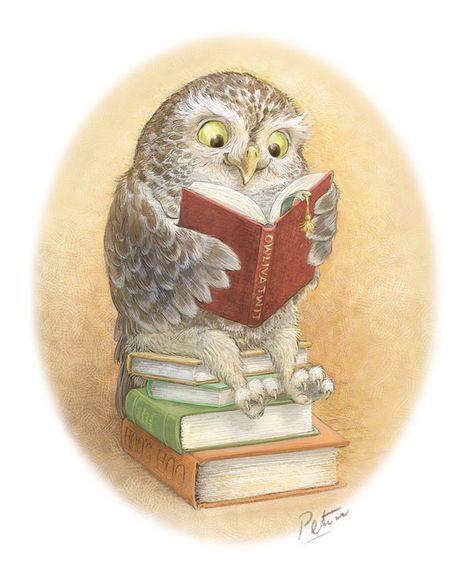 Petra's Portfolio - Petra Brown, Children's Book Illustrator Book Owl, Reading Library, Owls Drawing, Reading Art, Wise Owl, Brown Art, Reading A Book, Books Reading, Owl Art