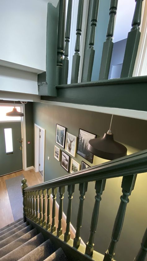 This emerald green stairs is cool in the eyes. There are wonderful wall arts hanged in the hallway with simple ceiling lights just perfect for the high ceiling. The medium gray carpet matches the laminated oak flooring. This is an easy DIY staircase design you can also do. Dark Green Stairs And Landing, Green Stair Banister, Dark Green Staircase, Stair Color Ideas, Green Bannister, Green Banister, Royal Foyer, Stair Color Ideas Stairways, Staircase Paint