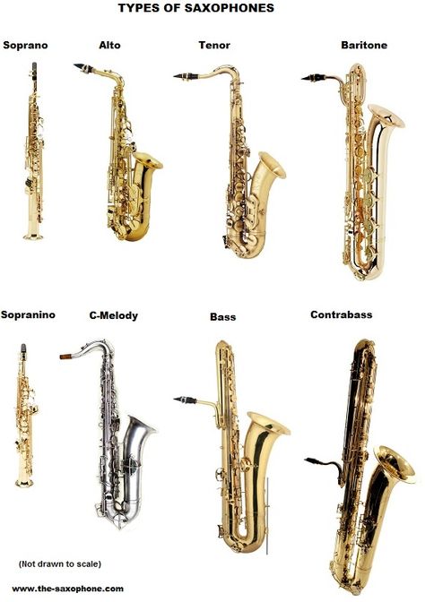 Saxophone (8 types, with the 4 more common ones shown on the top row) Bass Saxophone, Vintage Saxophones, Arte Jazz, Jazz Instruments, Saxophone Instrument, Jazz Saxophonist, Saxophone Music, Saxophone Sheet Music, Brass Instrument