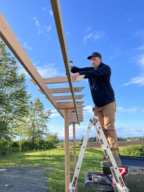 DIY Grape Arbor Trellis - Vines Ideas, Garden Arbour, Grape Vine Trellis, Diy Arbour, Creek Garden, Grape Arbor, Garden Cleaning, Grape Trellis, House Garden Ideas