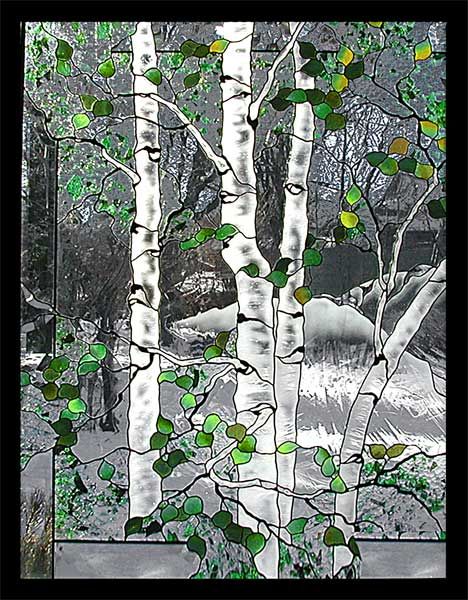 Birch trees painting