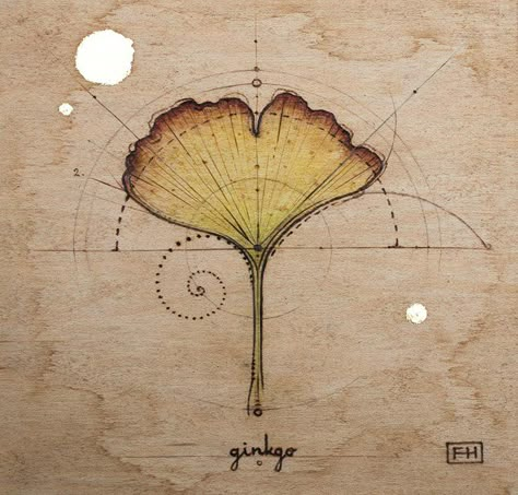 Fay Helfer - ginkgo Ginkgo Art, Leaf Drawing, Botanical Drawings, Leaf Art, Botanical Illustration, Botanical Art, Botanical Prints, Art Lessons, Painting & Drawing